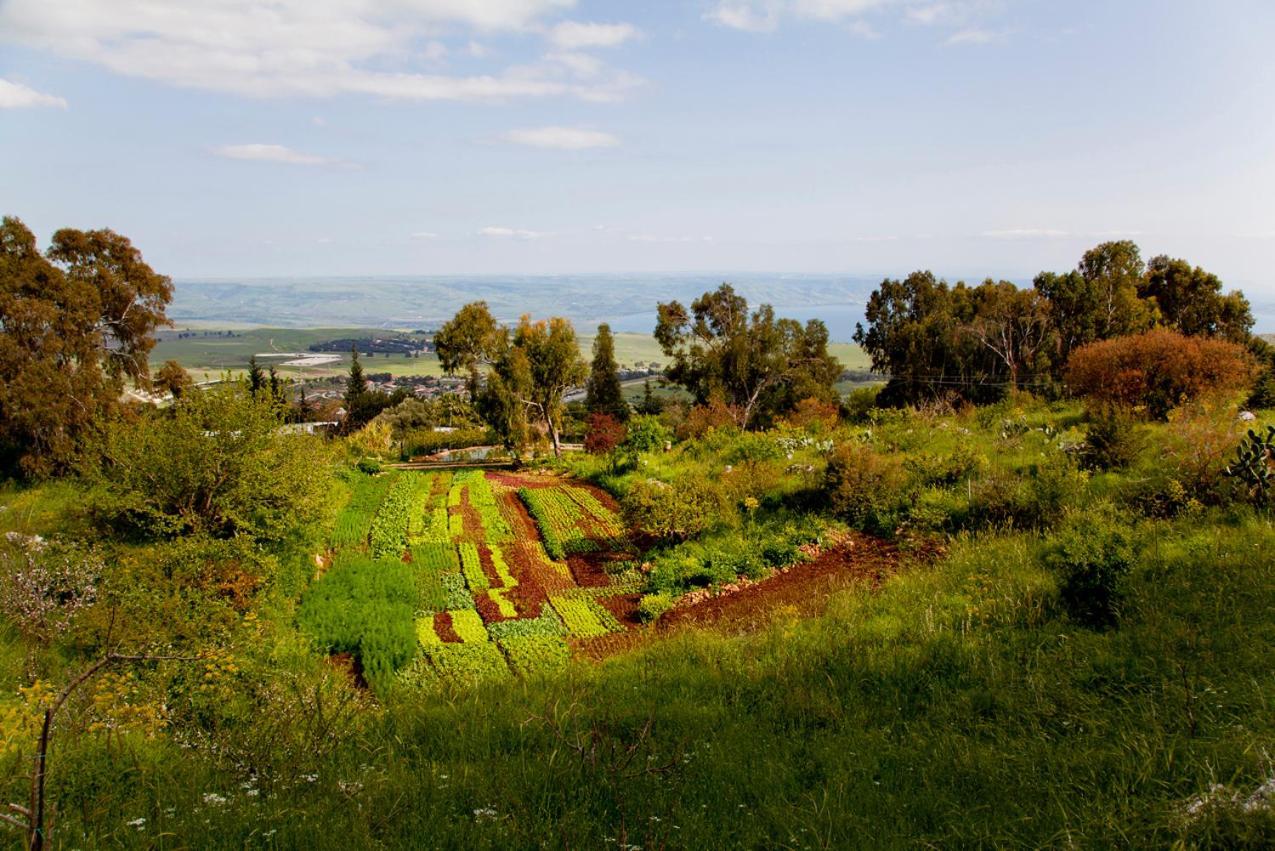 Mizpe Hayamim By Isrotel Exclusive Rosh Pinna Exterior foto