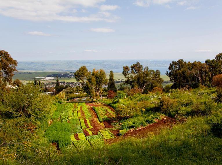 Mizpe Hayamim By Isrotel Exclusive Rosh Pinna Exterior foto